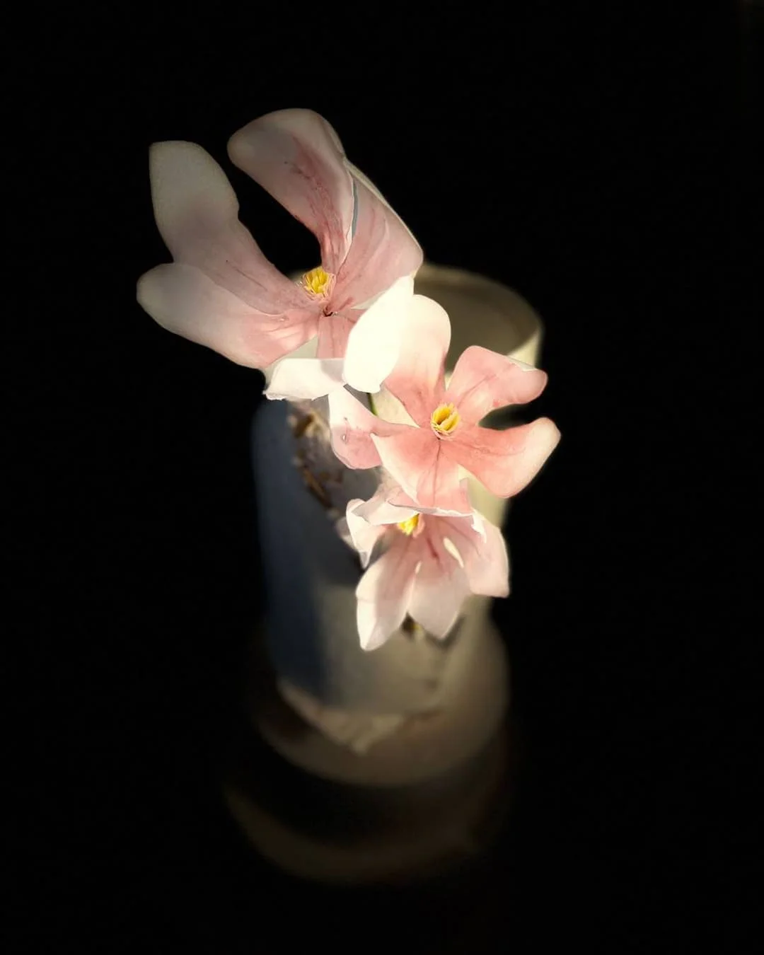 Luxury White and Rose Magnolia - Image 2